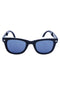 AQ WayFarer Sunglasses